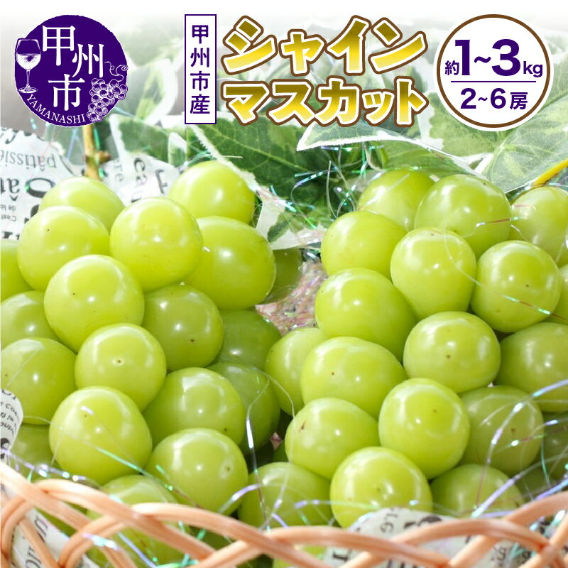 シャインマスカット 2026年 先行予約 選べる 内容量 約1kg 約1.1kg 約1.2kg 8月 9月 10月 発送 約1kg～約3kg 2～6房 果物 スイートエメラルド 期間限定 山梨 甲州市 葡萄 ぶどう フルーツ 山梨県 甲州市 社員マスカット （UD）