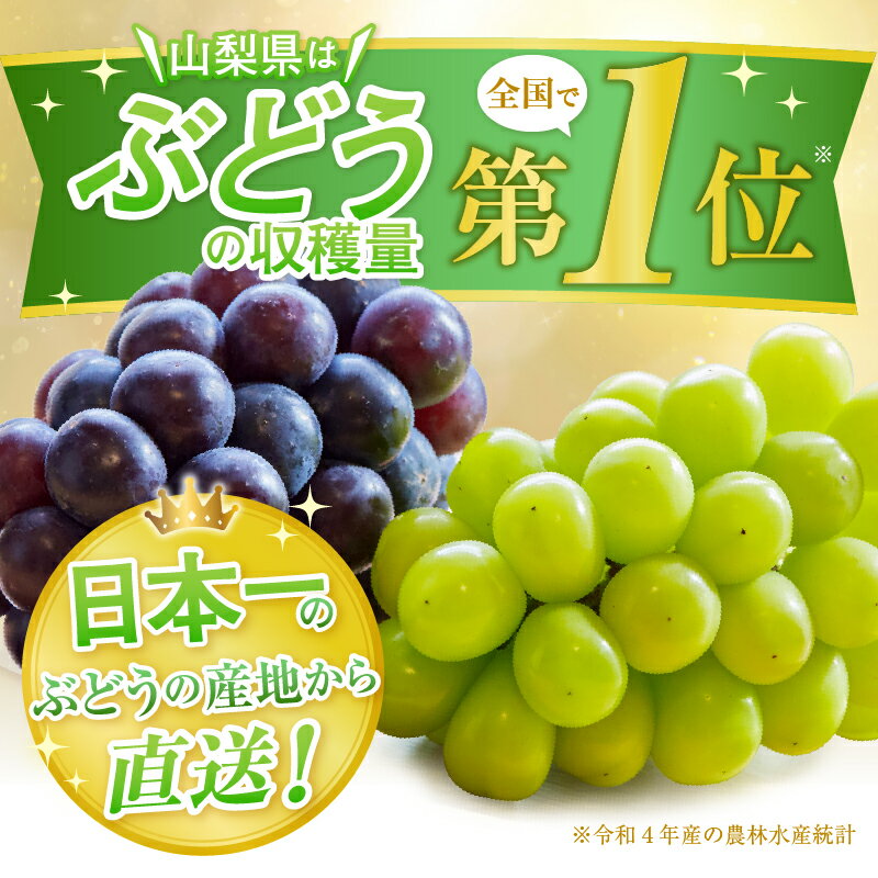 【ふるさと納税】 巨峰 ぶどう 2026年 先行予約 選べる 発送年 1kg以上 2～3房 果物 種なし 甲州市産 8月 9月 10月 発送 産地直送 果実 フルーツ 山梨 黒ブドウ 葡萄 期間限定 数量限定 厳選 贈答 ギフト （APX） サムネイル3