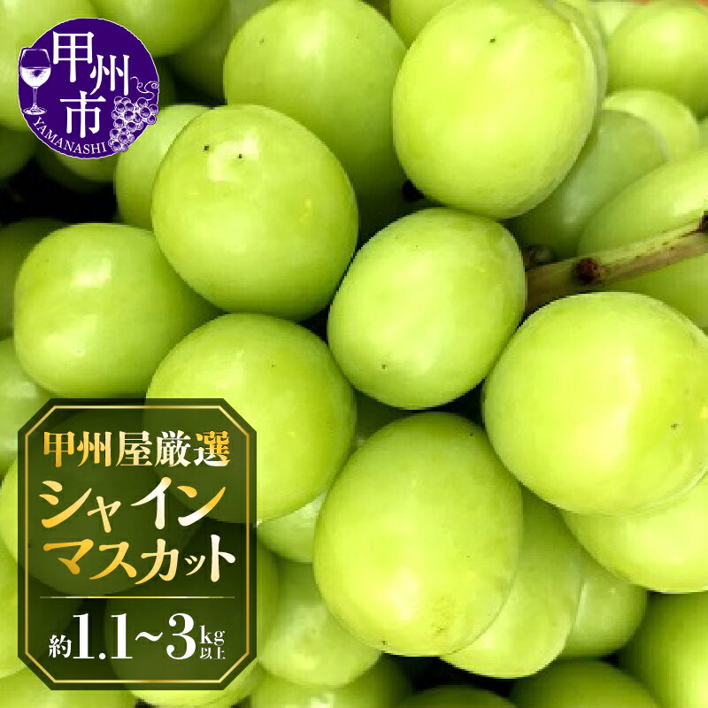 シャインマスカット 選べる内容量 約1.1kg 約2.2kg 3kg以上 2～6房 期間限定 数量限定 2025年発送 8月 9月 10月 11月 発送 人気 契約栽培 フルーツ 果物 葡萄 ぶどう シャイン 産地直送 朝どれ 新鮮 厳選 種無し 高級 青果品 甲州屋 山梨 甲州市