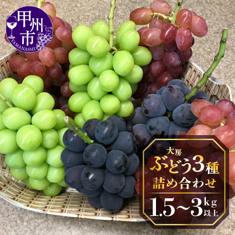 ぶどう 3種 2026年 先行予約 詰め合わせ 食べ比べ 選べる内容量 1.5kg以上 3kg以上 冷蔵 クール シャインマスカット 巨峰 ピオーネ 甲斐路 サニードルチェ クインニーナ 期間限定 果物 くだもの フルーツ 葡萄 8月 9月 発送 山梨県 甲州市 社員マスカット