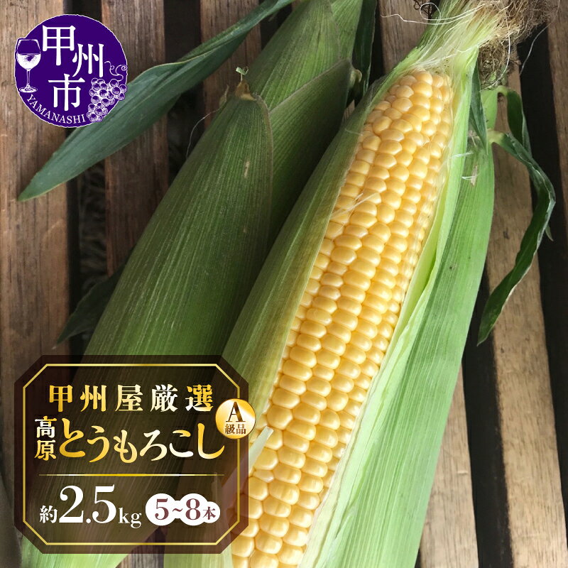 とうもろこし 2026年 先行予約 しあわせコーン ゴールドラッシュ A級品 約2.5kg 5〜8本 L〜3L 高原 契約農家産 新鮮 甘い 青果品 野菜類 甲州屋厳選 6月 7月 8月 発送 甲州市 【B-141】