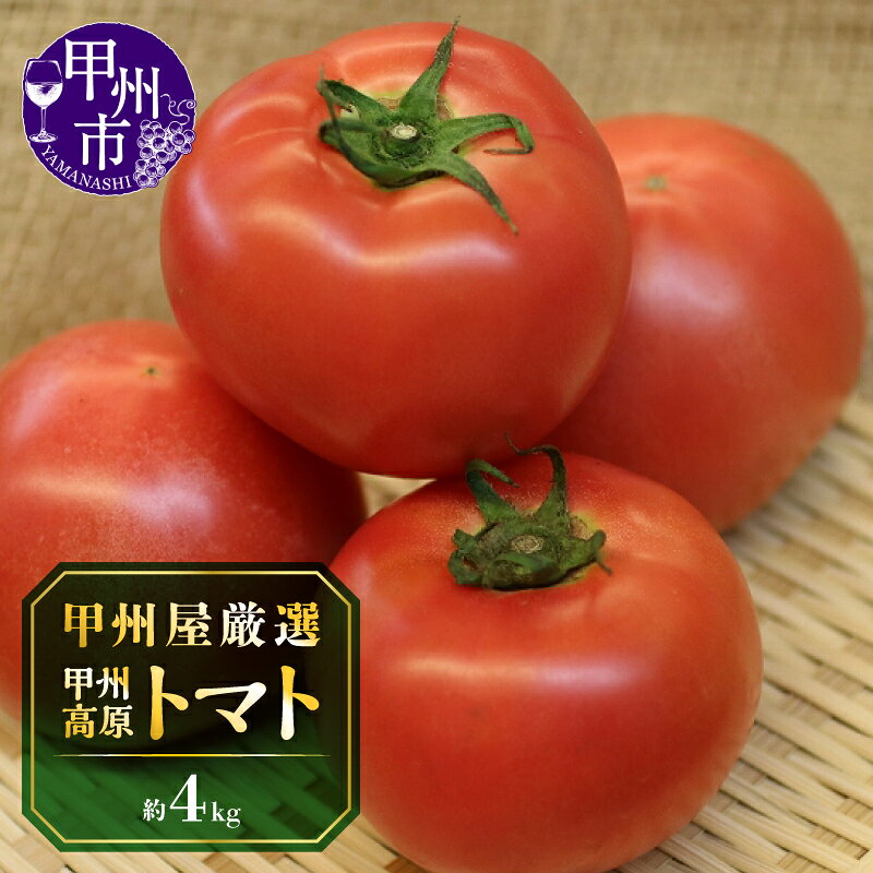 トマト 2026年 先行予約 甲州高原 神金産 約4kg 16〜30個 高原 露地栽培 季節限定品 新鮮 野菜 青果品 野菜類 8月 9月 10月 発送 甲州市 【B-405】