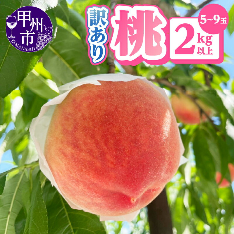 訳あり 桃 2026年 先行予約 2kg以上 5～9玉 果物 クール便 山梨県 甲州市 もも くだもの フルーツ 新鮮 人気 家庭用 自宅用 わけあり 不揃い 規格外 期間限定 数量限定 白鳳系 白桃系 6月 7月 8月 発送 冷蔵 （AGB） 【A09-876】