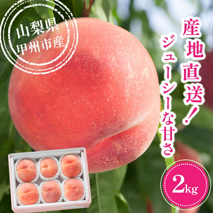 桃 2026年 先行予約 約2kg 5玉〜8玉 果物 もも 旬 朝採れ フルーツ 朝もぎ 光センサー選果 大藤の桃 くだもの ジューシー 新鮮 化粧箱入 贈答 ギフト お中元 冷蔵 期間限定 数量限定 家庭用 7月 8月 発送 山梨県 甲州市 （VYD） B12-810