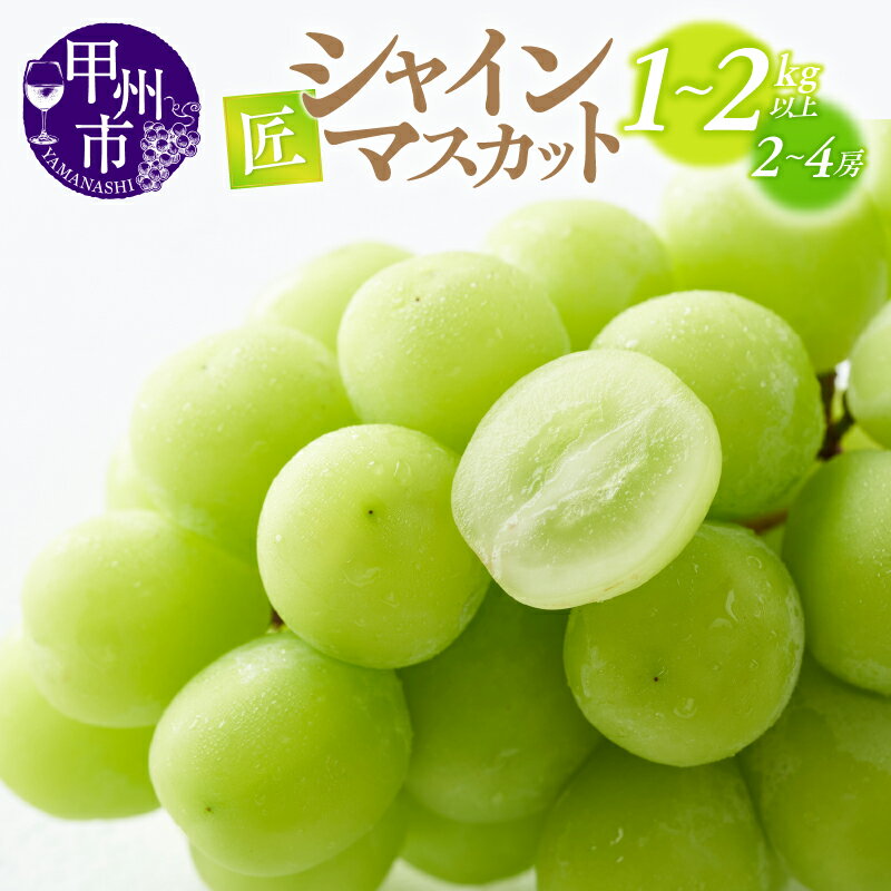 シャインマスカット 2026年 先行予約 選べる内容量 1kg以上 2kg以上 2〜4房 果物 フルーツ ぶどう 葡萄 甲州市産 匠 厳選 新鮮 大粒 ジューシー 種なし 期間限定 8月 9月 10月 発送 果実 くだもの 山梨 社員マスカット （ATP）