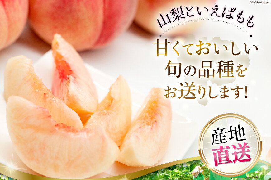 【ふるさと納税】山梨県産 桃 選べる 約2kg 3kg [えべし 山梨県 中央市 21470939] もも モモ くだもの 産地直送 フルーツ 果物 2キロ 3キロ 冷蔵 山梨 白桃 はくとう 大玉 【2026年6月下旬～8月下旬発送予定】 サムネイル2