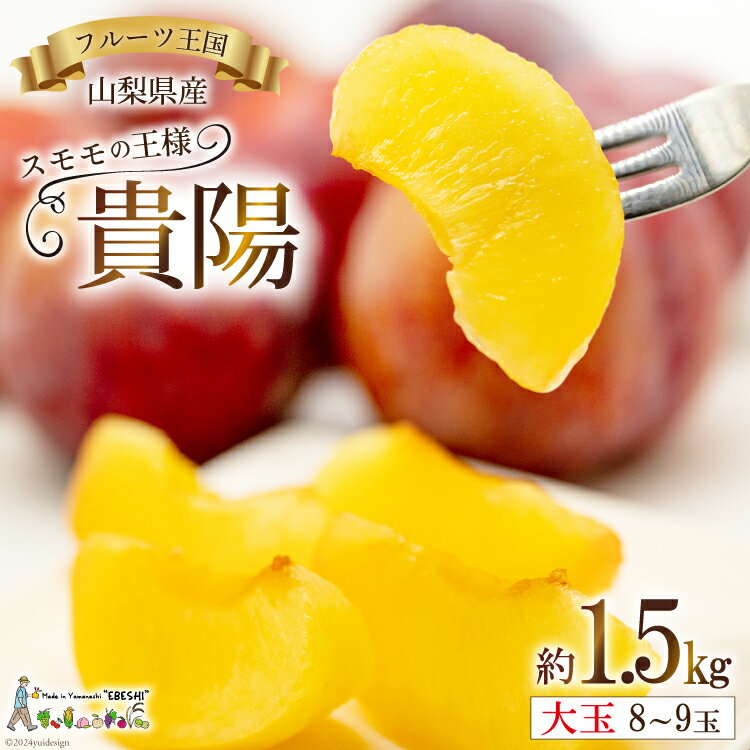 貴陽 (大玉) [株式会社えべし 山梨県 中央市 21470728] 果物 くだもの スモモ すもも プラム 李 もも 山梨県産 期間限定 季節限定 冷蔵 【2026年7月上旬～8月上旬発送予定】