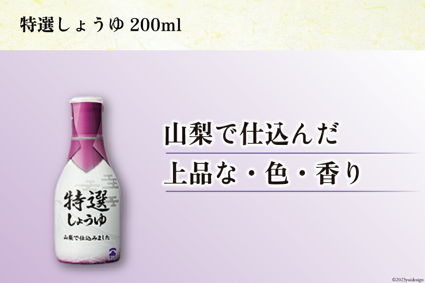 【ふるさと納税】調味料 テンヨ 3種×各1 特選しょうゆ だしつゆビミサン 白だし 詰め合わせ TP-15A [武田食品 山梨県 中央市] 醤油 出汁 だし セット 詰合せ スタンダード サムネイル3