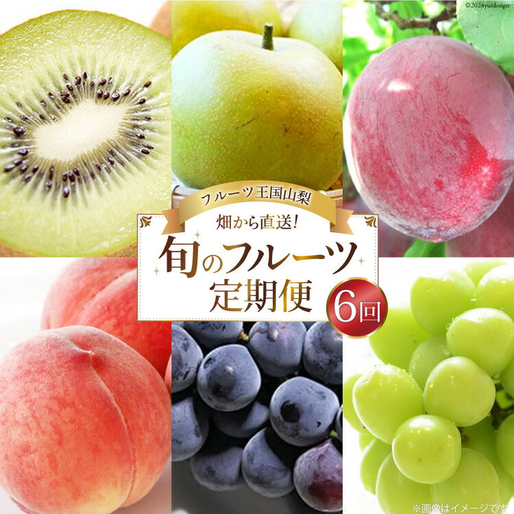 【先行受付】【6回 定期便】 フルーツ王国 山梨県産 6種セット 100000円 10万円 [えべし 山梨県 中央市 21470866] フルーツ 果物 くだもの すもも もも 桃 梨 なし ぶどう シャインマスカット キウイ 【2026年6月中旬-2027年1月下旬発送予定】