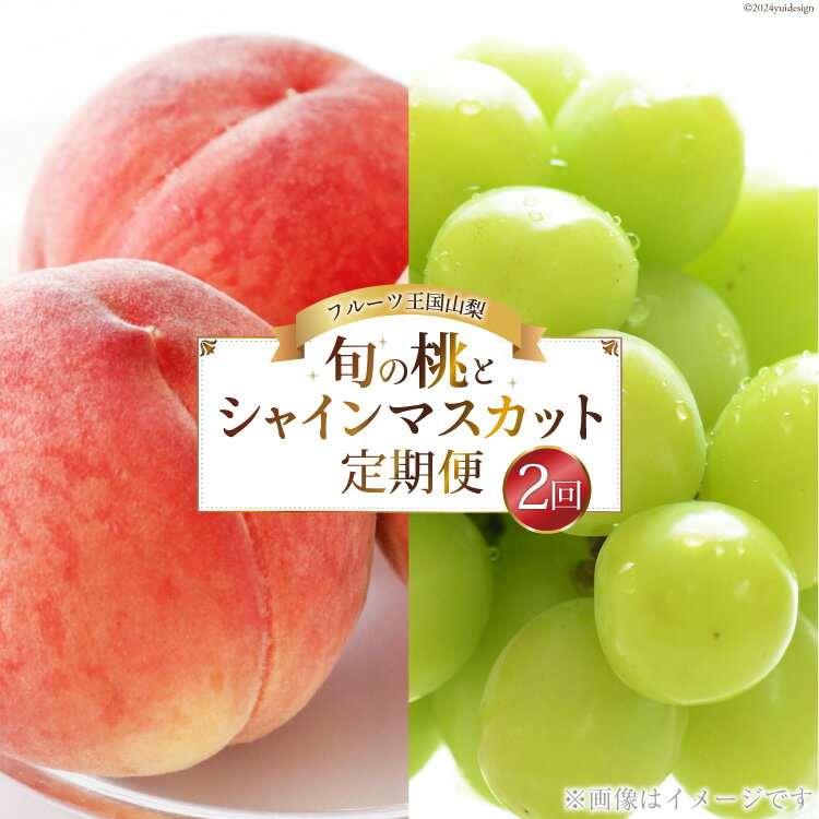 【期間限定発送】【旬の桃とシャインマスカットの2回定期便】令和7年 桃約2kg（5～6玉）、シャインマスカット約1.8kg（2～4房） [株式会社えべし 山梨県 中央市 21470869] ぶどう 桃 フルーツ 果物 もも 葡萄 季節限定 【2026年6月下旬～10月下旬発送予定】