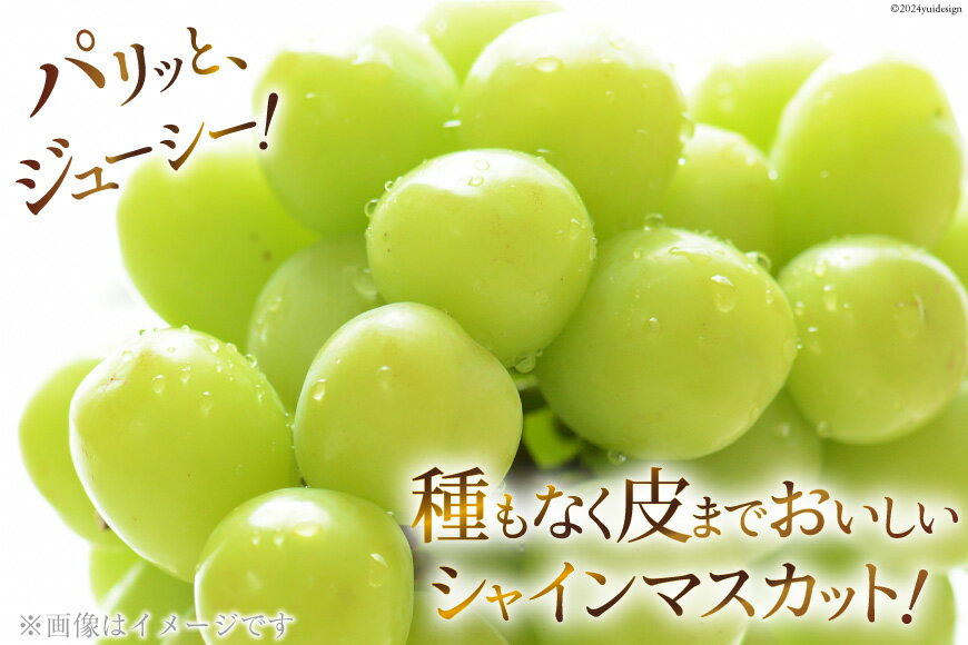 【ふるさと納税】【期間限定発送】【旬の桃とシャインマスカットの2回定期便】令和7年 桃約2kg（5～6玉）、シャインマスカット約1.8kg（2～4房） [株式会社えべし 山梨県 中央市 21470869] ぶどう 桃 フルーツ 果物 もも 葡萄 季節限定 【2026年6月下旬～10月下旬発送予定】 サムネイル2