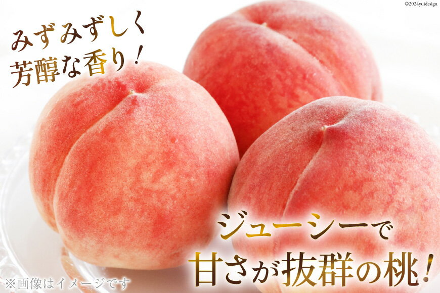 【ふるさと納税】【期間限定発送】【旬の桃とシャインマスカットの2回定期便】令和7年 桃約2kg（5～6玉）、シャインマスカット約1.8kg（2～4房） [株式会社えべし 山梨県 中央市 21470869] ぶどう 桃 フルーツ 果物 もも 葡萄 季節限定 【2026年6月下旬～10月下旬発送予定】 サムネイル3