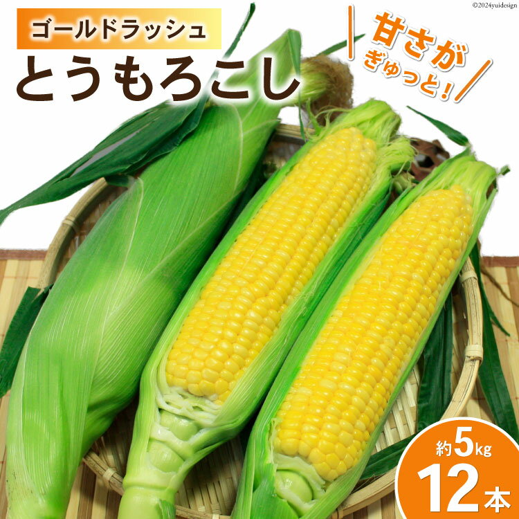 【期間限定発送】 野菜 とうもろこし ( ゴールドラッシュ ) 12本入 約5kg [笛吹農業協同組合 山梨県 中央市] やさい トウモロコシ コーン 甘い スイートコーン 季節限定 期間限定 【2026年6月上旬～7月上旬発送予定】