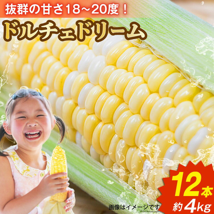 『魅惑のとうもろこし』 ドルチェドリーム × 12本 約4kg [メディアブレインアグリエール 山梨県 中央市 21470903] スイートコーン コーン 甘い 朝採り 大粒 新鮮 【2026年6月上旬～7月上旬発送予定】