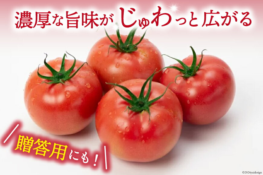 【ふるさと納税】【秋作】トマト 桃太郎 ＜選べる内容量＞ 約1kg ／ 約2kg とまと tomato 野菜 やさい 1キロ 2キロ 季節限定 期間限定 産地直送 山梨県産 【2026年10月下旬～12月下旬発送予定】 - 画像2