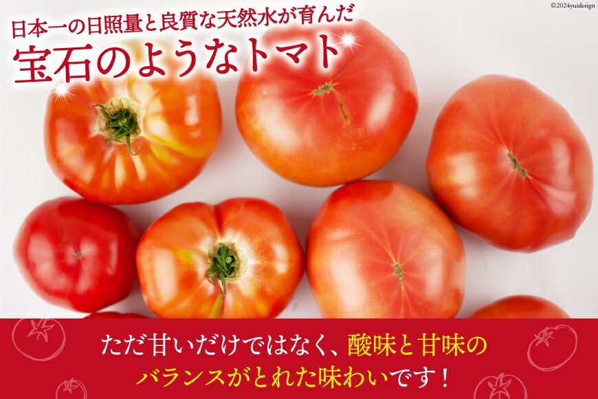 【ふるさと納税】【秋作】トマト 桃太郎 ＜選べる内容量＞ 約1kg ／ 約2kg とまと tomato 野菜 やさい 1キロ 2キロ 季節限定 期間限定 産地直送 山梨県産 【2026年10月下旬～12月下旬発送予定】 - 画像3