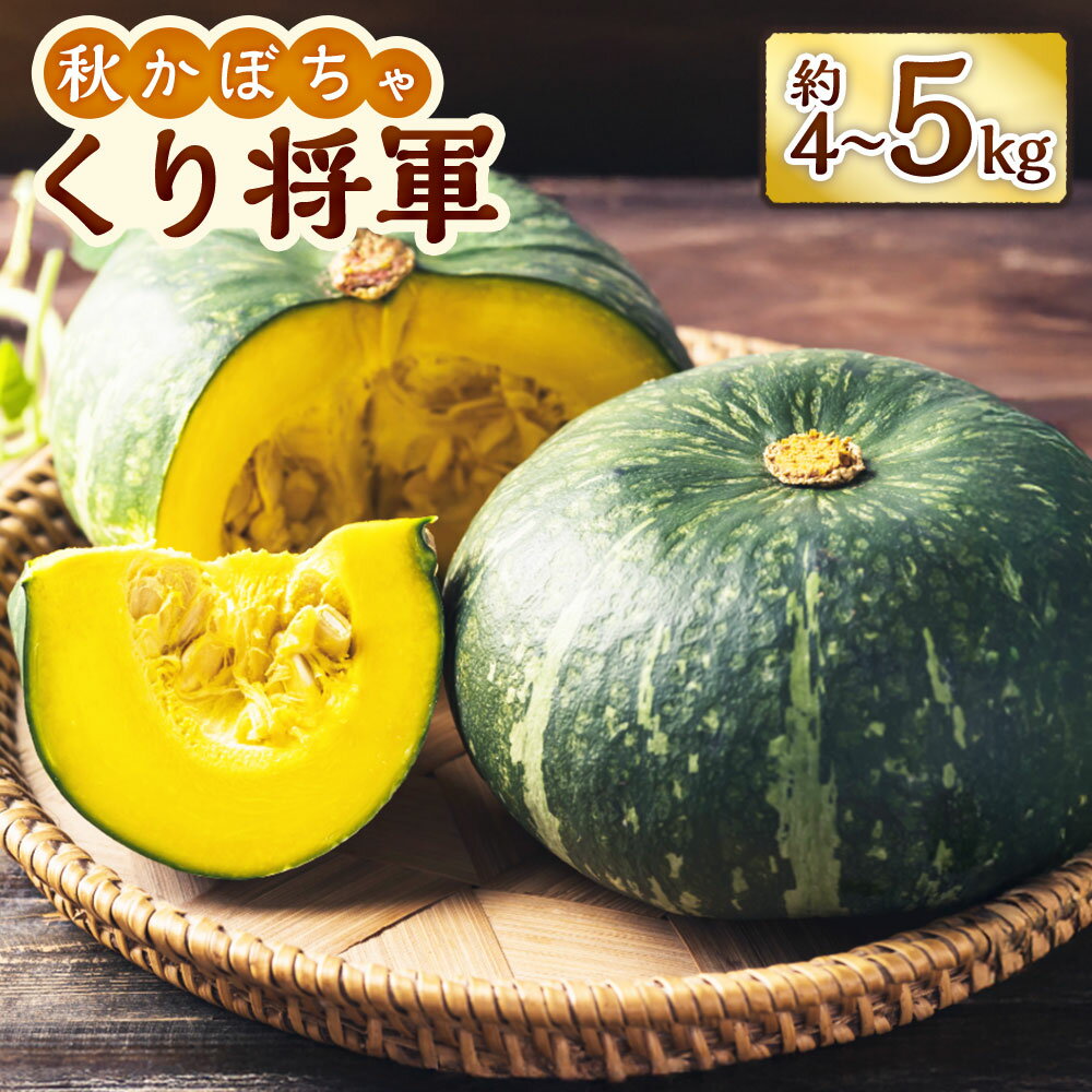 【ふるさと納税】＜選べる品種＞【先行受付】山梨県 中央市産 かぼちゃ くり将軍 / 春かぼちゃ 約4～5kg カボチャ 南瓜 栗将軍 野菜 やさい 煮物 スイーツ お味噌汁 ほうとう サラダ コロッケ 山梨県産 国産 山梨県 中央市 送料無料 【2026年6月上旬〜11月下旬発送予定】
