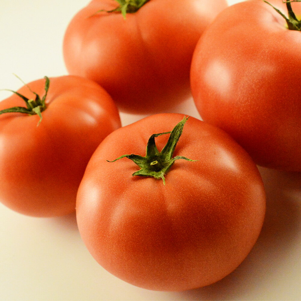 【ふるさと納税】＜選べるサイズ・内容量＞桃太郎トマト 2S玉 / S玉 / M玉 / L玉 約2kg / 約4kg トマト とまと 野菜 やさい 甘味 酸味 旨味 山梨県産 国産 山梨県 中央市 送料無料 【2026年5月上旬～6月下旬発送予定】 - 画像3