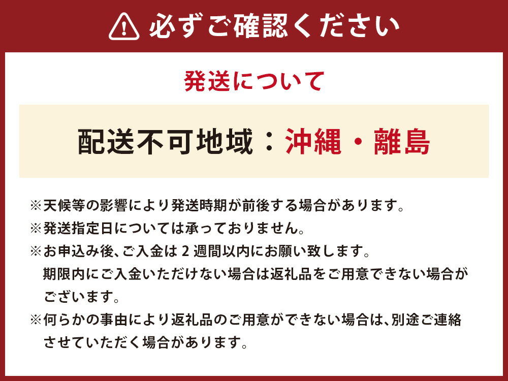 【ふるさと納税】とうもろこし ゴールドラッシュ 6本 [さとう農園 山梨県 中央市 21471040] トウモロコシ スイートコーン 甘い コーン 野菜【2026年6月下旬～7月下旬発送予定】 - 画像2