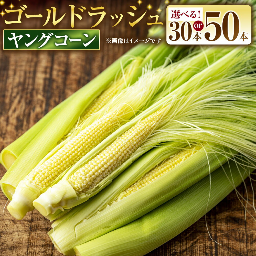 ＜選べる内容量＞とうもろこし ゴールドラッシュ ヤングコーン 30本入り / 50本入り [さとう農園 山梨県 中央市 21471038] トウモロコシ スイートコーン 甘い コーン 皮付き 野菜 やさい 冷蔵 山梨県産 国産 送料無料 【2026年6月上旬～7月下旬発送予定】