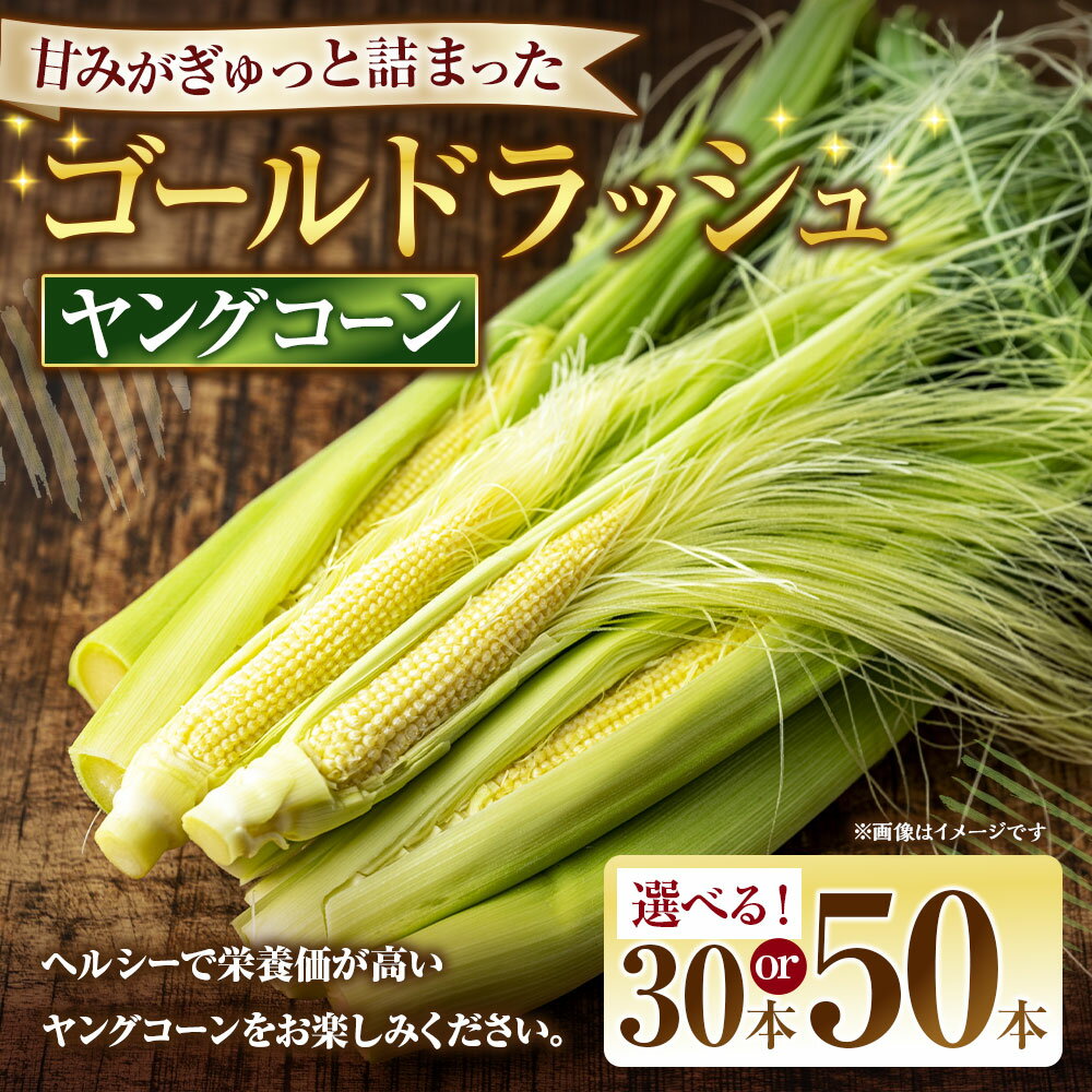 【ふるさと納税】＜選べる内容量＞とうもろこし ゴールドラッシュ ヤングコーン 30本入り / 50本入り [さとう農園 山梨県 中央市 21471038] トウモロコシ スイートコーン 甘い コーン 皮付き 野菜 やさい 冷蔵 山梨県産 国産 送料無料 【2026年6月上旬～7月下旬発送予定】 - 画像2