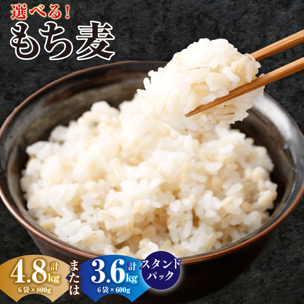 【選べる容量】 もち麦 スタンドパック 600g （50g×12袋）×6袋 計3.6kg ／ 800g×6袋 計4.8kg もち大麦 穀物 食物繊維 ご飯 ごはん 山梨県 中央市 送料無料