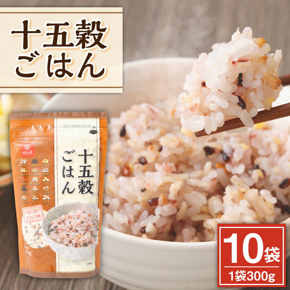十五穀ごはん 計3kg（300g×10袋） 十五種類 穀物 ひき割り大豆 雑穀ごはん 雑穀米 お米 白麦 黒米 発芽赤米 発芽玄米 ごはん ご飯 国産 山梨県 中央市 送料無料