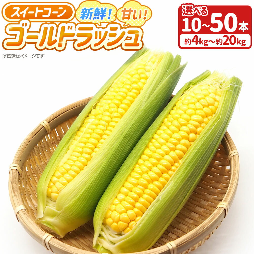 ＜選べる内容量＞新鮮！甘い！スイートコーン ゴールドラッシュ 「道の駅とよとみ」より厳選したものを出荷！ 10本（約4kg） / 【3個口】50本（約20kg） とうもろこし トウモロコシ 野菜 国産 山梨県産 中央市 送料無料 【2026年6月上旬～7月上旬発送予定】