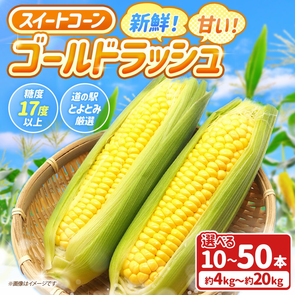 【ふるさと納税】＜選べる内容量＞新鮮！甘い！スイートコーン ゴールドラッシュ 「道の駅とよとみ」より厳選したものを出荷！ 10本（約4kg） / 【3個口】50本（約20kg） とうもろこし トウモロコシ 野菜 国産 山梨県産 中央市 送料無料 【2026年6月上旬～7月上旬発送予定】 - 画像2