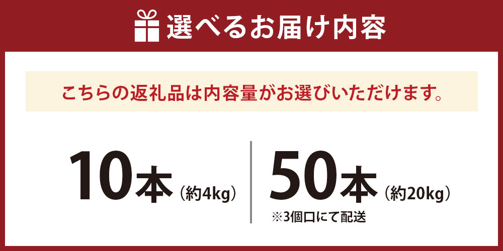 【ふるさと納税】＜選べる内容量＞新鮮！甘い！スイートコーン ゴールドラッシュ 「道の駅とよとみ」より厳選したものを出荷！ 10本（約4kg） / 【3個口】50本（約20kg） とうもろこし トウモロコシ 野菜 国産 山梨県産 中央市 送料無料 【2026年6月上旬～7月上旬発送予定】 - 画像3