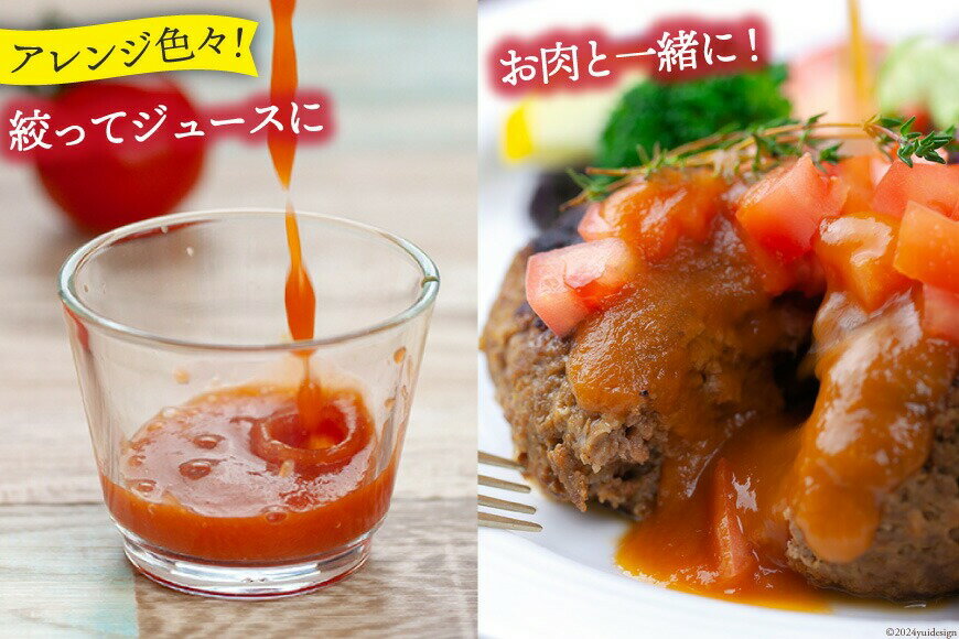 【ふるさと納税】【2025年発送】 訳あり 桃太郎トマト 選べる内容量 秋作 1kg 2kg 4kg [ヨダファーム 山梨県 中央市 21471020] 7000円 ～ 13000円 7千円 ～ 1万3000円 規格外 家庭用 不揃い わけあり 訳アリ とまと tomato 野菜 やさい 2kg 1キロ 2キロ 4キロ サムネイル3