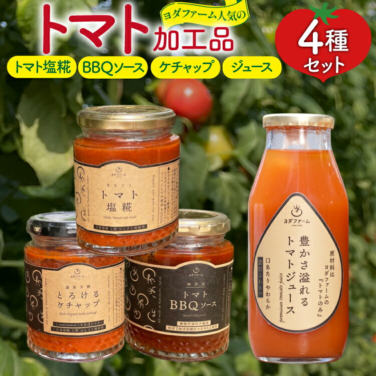 トマト塩糀 トマトBBQソース トマトケチャップ トマトジュース 4種詰め合わせセット 各1個 [ヨダファーム 山梨県 中央市] セット 詰め合わせ ソース タレ たれ 調味料 ケチャップ とまと トマト トマトソース 野菜ジュース
