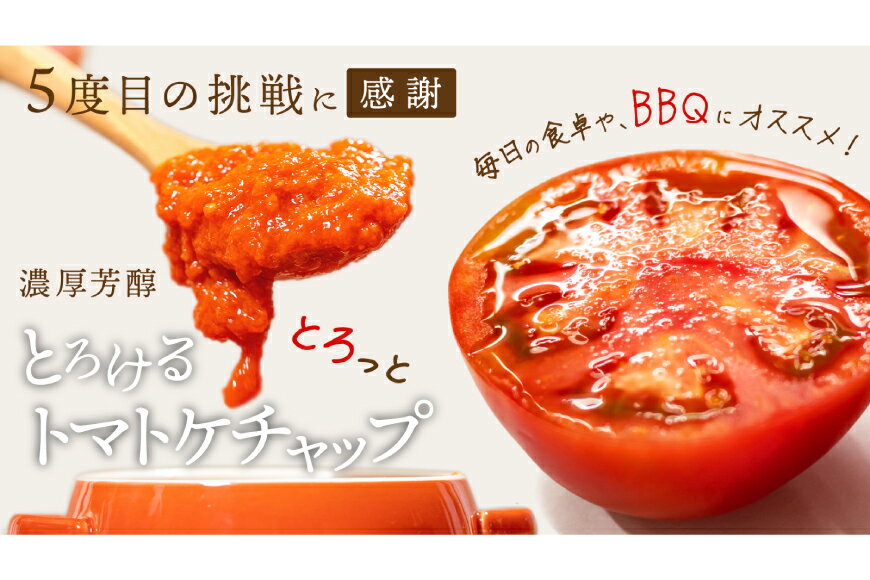 【ふるさと納税】トマト塩糀 トマトBBQソース トマトケチャップ トマトジュース 4種詰め合わせセット 各1個 [ヨダファーム 山梨県 中央市] セット 詰め合わせ ソース タレ たれ 調味料 ケチャップ とまと トマト トマトソース 野菜ジュース サムネイル2