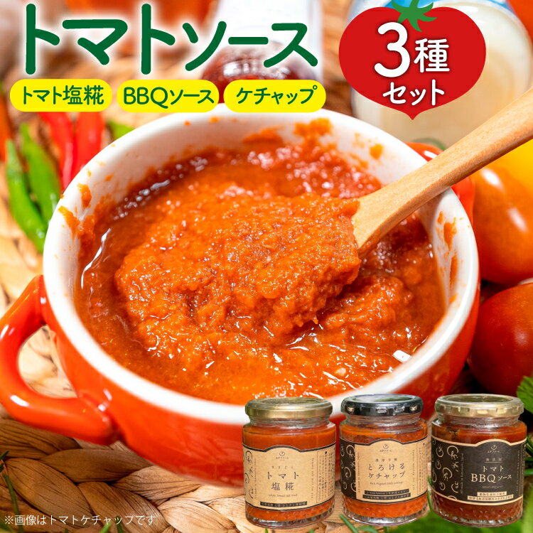 3種 詰め合わせ 各1個 [ヨダファーム 山梨県 中央市] セット 詰め合わせ ソース タレ たれ 調味料 ケチャップ とまと tomato トマト トマトソース 楽天スーパーSALE 9月開催