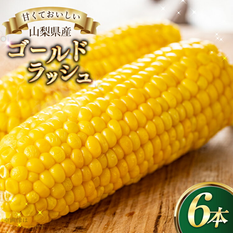 とうもろこし ゴールドラッシュ 6本 [さとう農園 山梨県 中央市 21471040] トウモロコシ スイートコーン 甘い コーン 野菜【2026年6月下旬～7月下旬発送予定】
