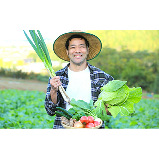 【ふるさと納税】中央市産 特産 野菜詰合せ トマトと季節の野菜詰め合わせ [た・から 山梨県 中央市] 野菜 やさい 詰合せ 詰め合わせ とまと トマト ミニトマト きゅうり 玉ねぎ たまねぎ 芋 いも 野菜セット 旬 - 画像2