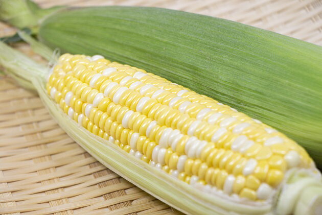 【ふるさと納税】【期間限定発送】甘々娘 約5kg （12本 ～ 15本 ） [泉農園 山梨県 中央市 21470731] とうもろこし トウモロコシ スイートコーン コーン 新鮮 野菜 期間限定 季節限定 山梨県 中央市 【2026年6月上旬発送予定】 - 画像2