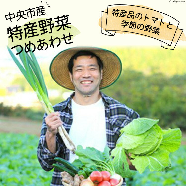 中央市産 特産 野菜詰合せ トマトと季節の野菜詰め合わせ [た・から 山梨県 中央市] 野菜 やさい 詰合せ 詰め合わせ とまと トマト ミニトマト きゅうり 玉ねぎ たまねぎ 芋 いも 野菜セット 旬