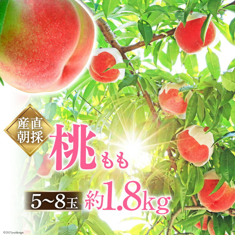 山梨県中央市産 桃 約1.8kg ( 5～8玉 ) [ピーチファームなんば 山梨県 中央市 21470170] もも モモ フルーツ 果物 くだもの 1.8キロ 産地直送 期間限定 季節限定 【2026年6月下旬～8月上旬発送予定】