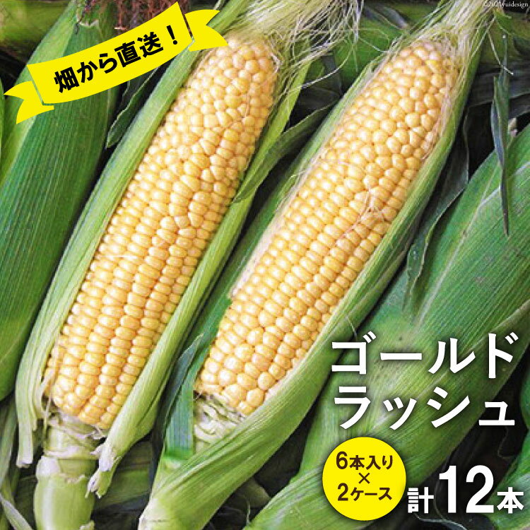スイートコーン (ゴールドラッシュ) 12本 [株式会社えべし 山梨県 中央市 21470248] とうもろこし トウモロコシ コーン やさい 野菜 旬野菜 旬 季節限定 期間限定 冷蔵 【2026年7月上旬-7月下旬発送予定】