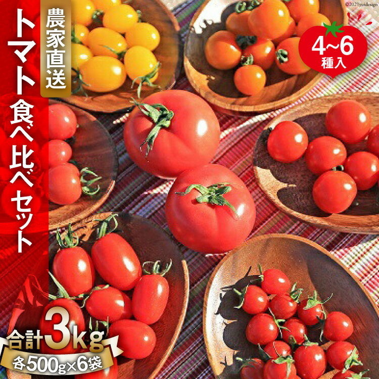 【先行受付】新鮮 採れたて トマト 食べ比べセット 3kg（500g×6袋） [ マルヨシ園芸 山梨県 中央市 ] とまと 野菜 食べ比べ 3キロ 季節限定 数量限定 【2026年1月上旬～5月下旬発送予定】