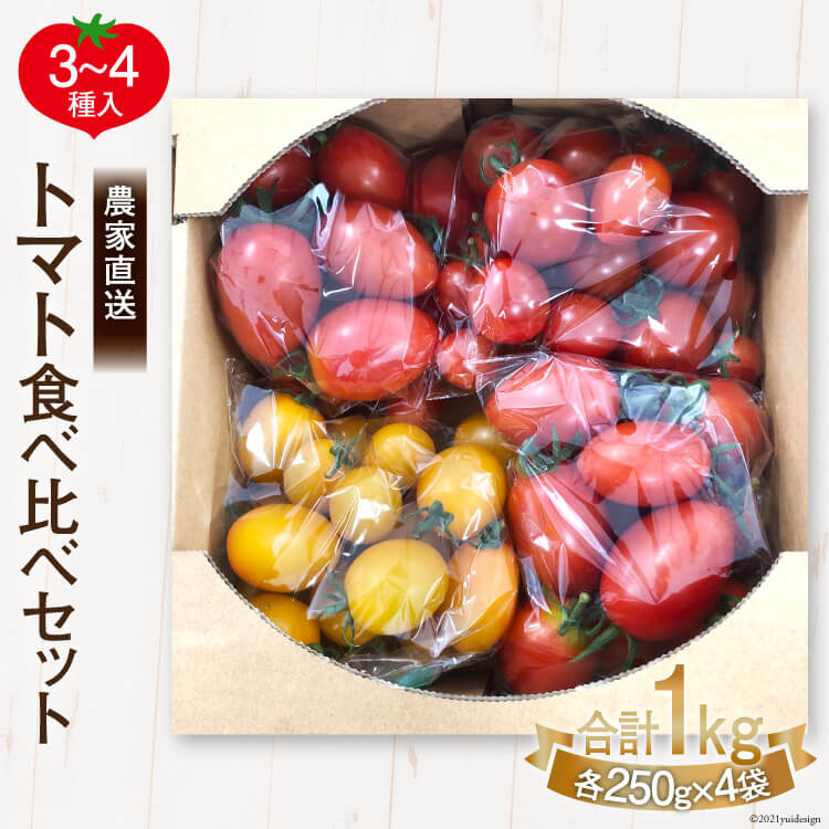 【先行受付】新鮮 採れたて トマト 食べ比べセット 1kg（250g×4袋） [ マルヨシ園芸 山梨県 中央市 ] とまと 野菜 食べ比べ 1キロ 季節限定 数量限定 【2026年1月上旬～5月下旬発送予定】