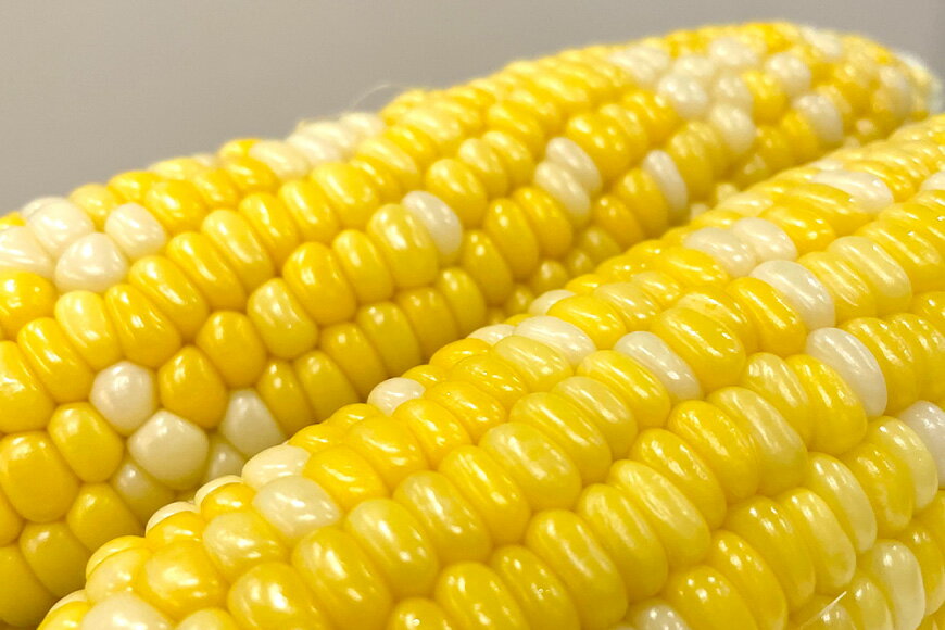 【ふるさと納税】【先行予約】とうもろこし ドルチェドリーム 10本 [マルヨシ園芸 山梨県 中央市 21470552] 朝採り 新鮮 期間限定 トウモロコシ 甘い ジューシー 野菜 産地直送【2026年6月下旬～7月上旬発送予定】 - 画像2