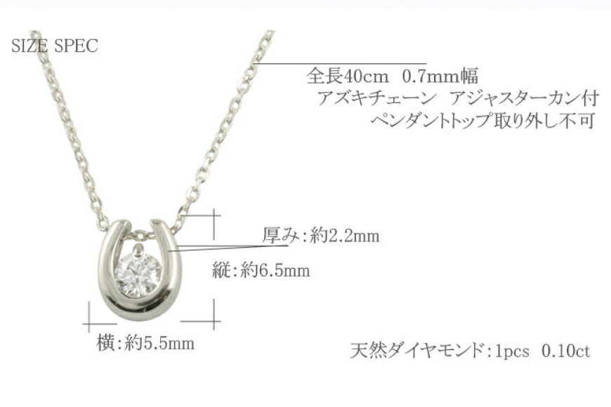 【ふるさと納税】ネックレス プラチナ900 馬蹄モチーフ ペンダント ダイヤ 0.1ct 全長40cm ジュエリーケース付 [シエロ 山梨県 中央市 21470785] アクセサリージュエリー アクセ ダイヤモンド サムネイル3