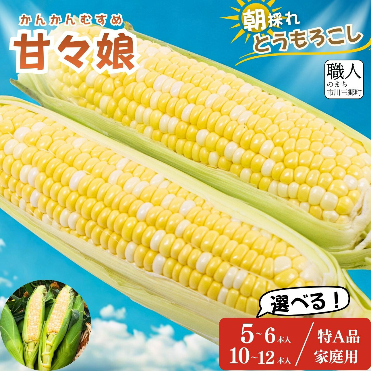 とうもろこし 甘々娘 かんかんむすめ 選べる 容量 贈答用 家庭用 訳あり 特A品 市川三郷町 株式会社 アグリ甲斐