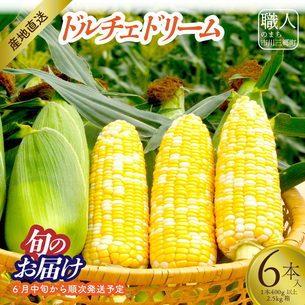 【2026年6月中旬から発送】とうもろこし「ドルチェドリーム」6本入り 1本400g以上 2.5kg箱 株式会社アグリ甲斐（山梨県市川三郷町産）[5839-2214]