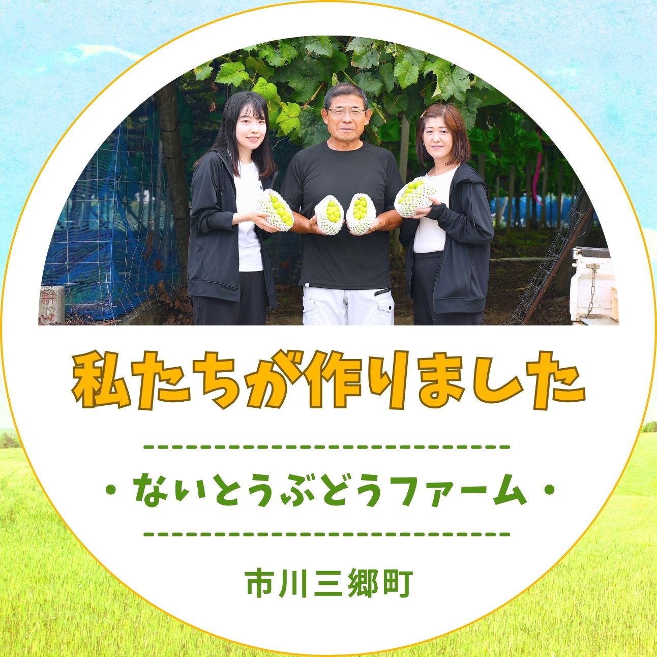 【ふるさと納税】シャインマスカット 2026年発送 山梨 2kg 箱 ぶどう 葡萄 山梨県 フルーツ 果物 くだもの ギフト 産地直送 人気 ないとうぶどうファーム 先行予約 先行受付 先行 ぶどう ブドウ 葡萄 マスカット 果物 くだもの [5839-1222] サムネイル3