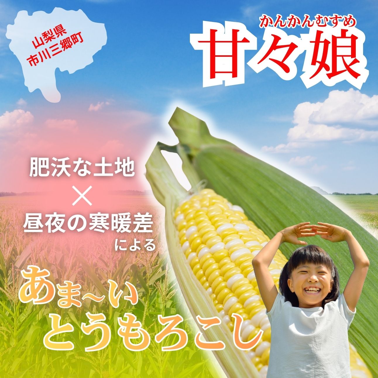 【ふるさと納税】スイートコーン とうもろこし 甘々娘 6本入り 市川三郷町 2026年 6月上旬 発送 産地直送 角田農園 山梨県 市川三郷町 人気 コーン トウモロコシ 朝採り 先行 先行予約 甘い 野菜 夏野菜 BBQ - 画像3
