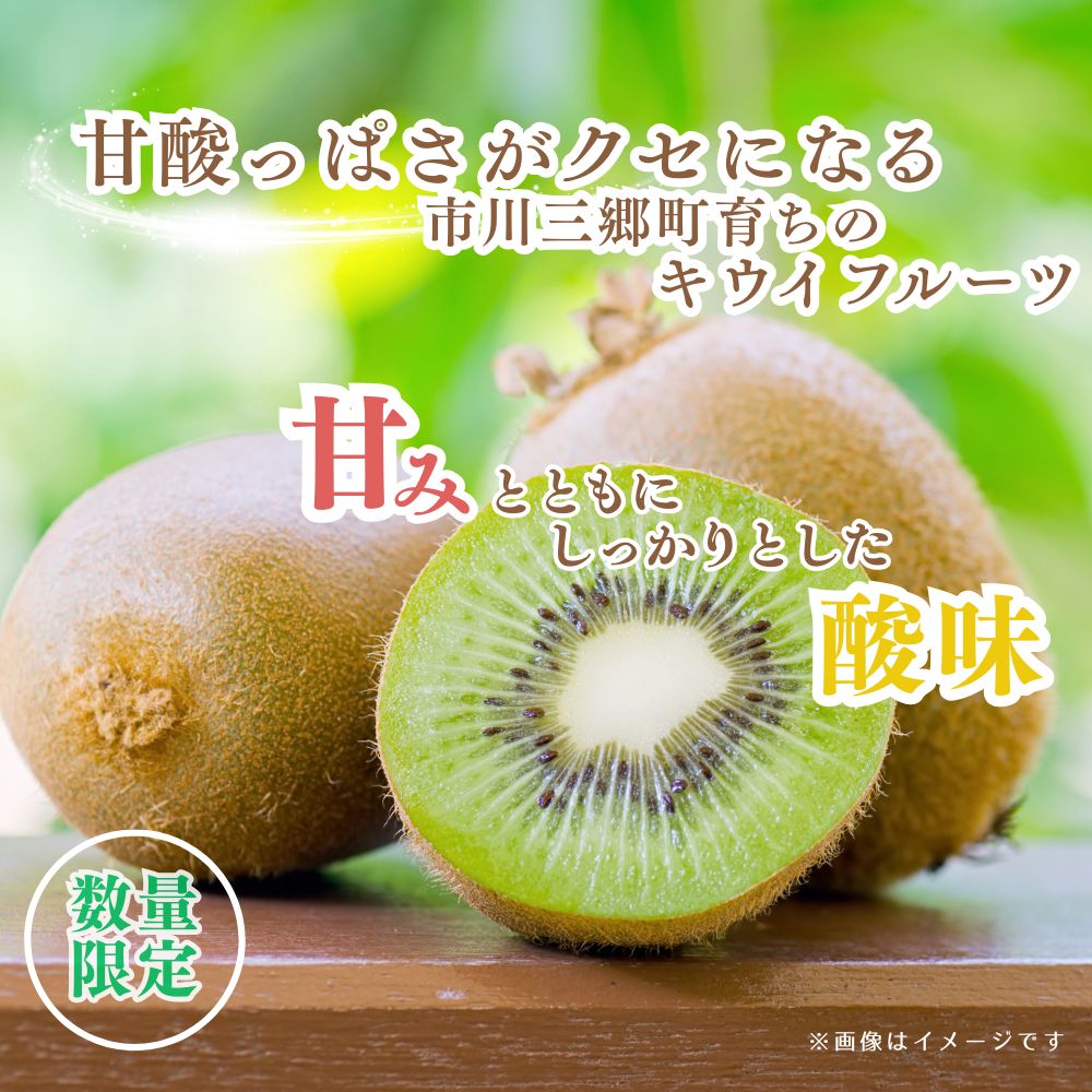 【ふるさと納税】キウイフルーツ（ヘイワード）　約2キロ（20～24玉）秋山農園 [5839-1606]　【果物詰合せ・フルーツ】　お届け：2025年12月中旬から順次発送予定 サムネイル2