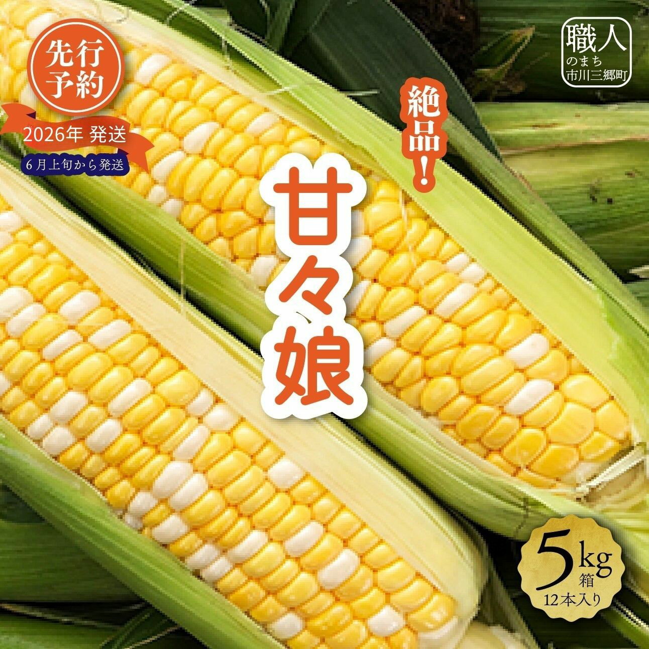 とうもろこし 甘々娘 かんかんむすめ 12本入り 5kg箱 市川三郷町産 スイートコーン 産地直送 採れたて 朝採り じろう農園[5839-1336]